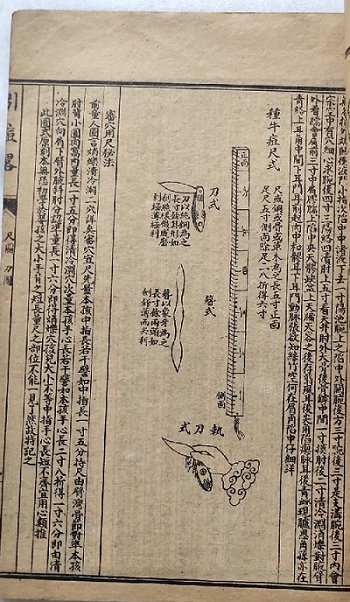 种痘术的发明与传播：以消灭天花为核心的历史考察